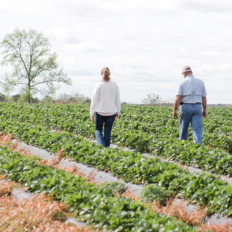 Celebrate Georgia Ag Week With Us